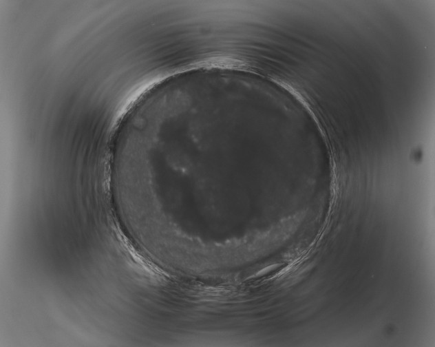 X0000116121115200912141039