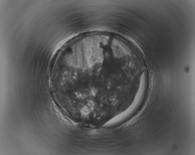 X0000116121117200912141039