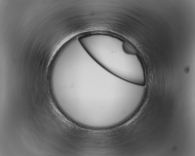 X0000116121118200912141039