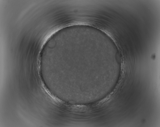 X0000116121119200912141039