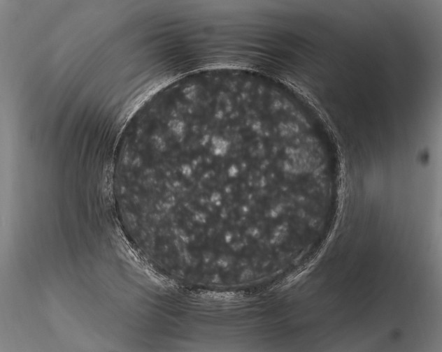 X0000116121121200912141039