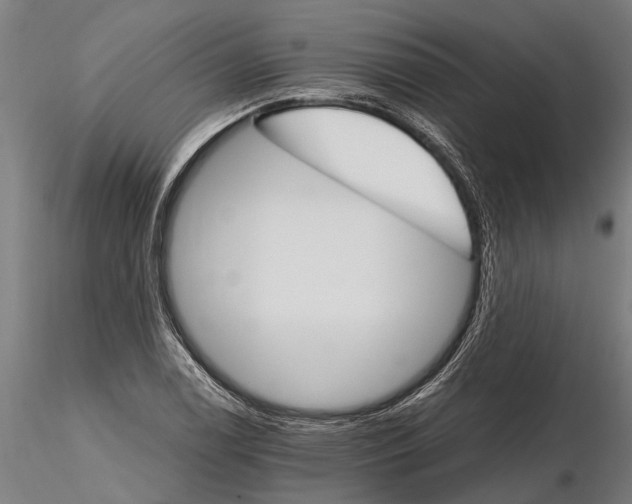 X0000116121122200912141039