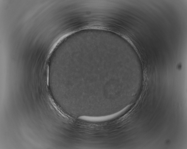 X0000116121123200912141039