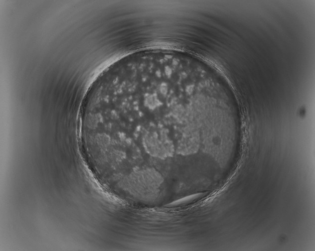 X0000116121125200912141039