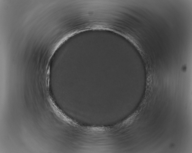 X0000116121126200912141039