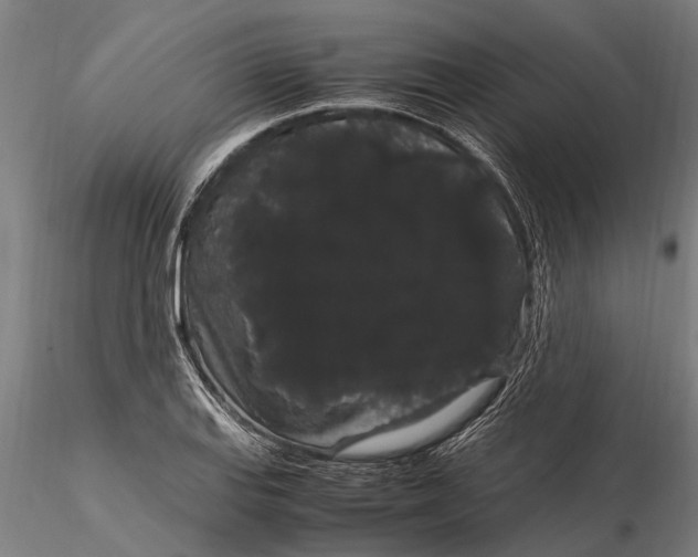 X0000116121127200912141039