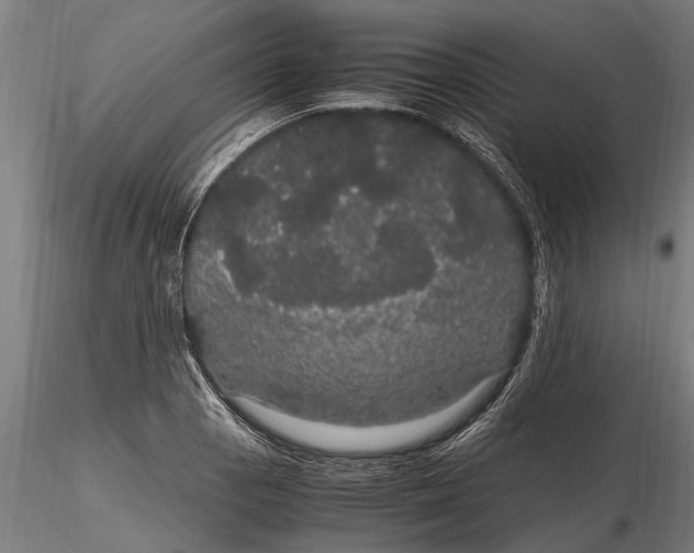 X0000116121129200912141039