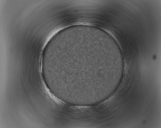 X0000116121131200912141039