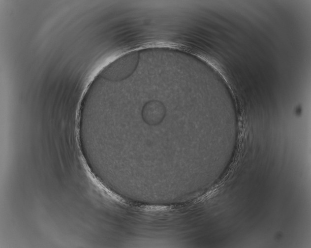 X0000116121135200912141039