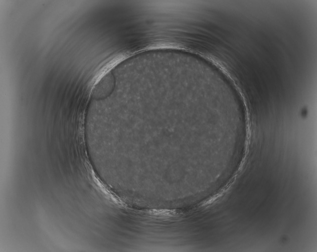 X0000116121137200912141039