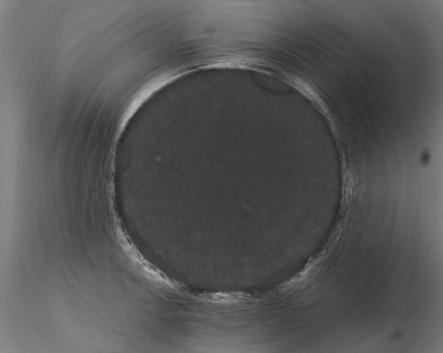 X0000116121138200912141039