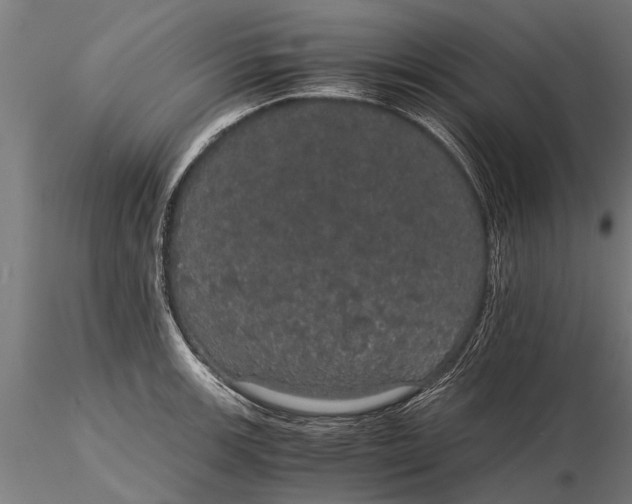 X0000116121139200912141039