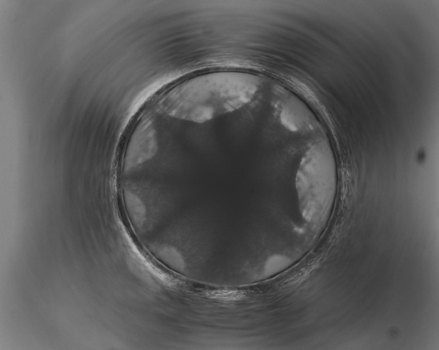 X0000116121141200912141039