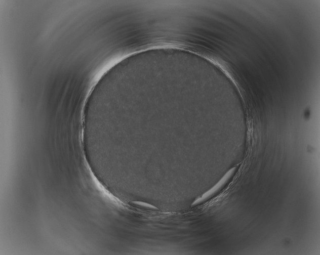 X0000116121143200912141039