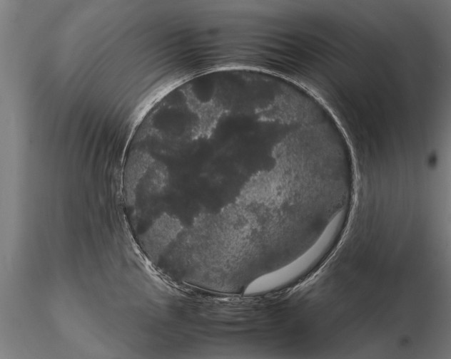 X0000116121145200912141039