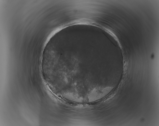 X0000116121146200912141039