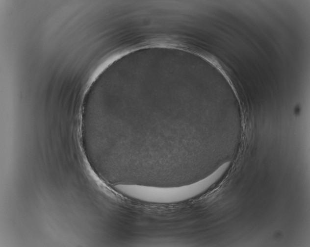 X0000116121147200912141039