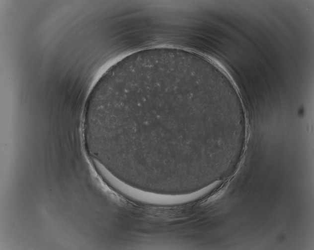 X0000116121149200912141039