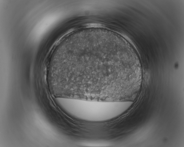 X0000116121151200912141039