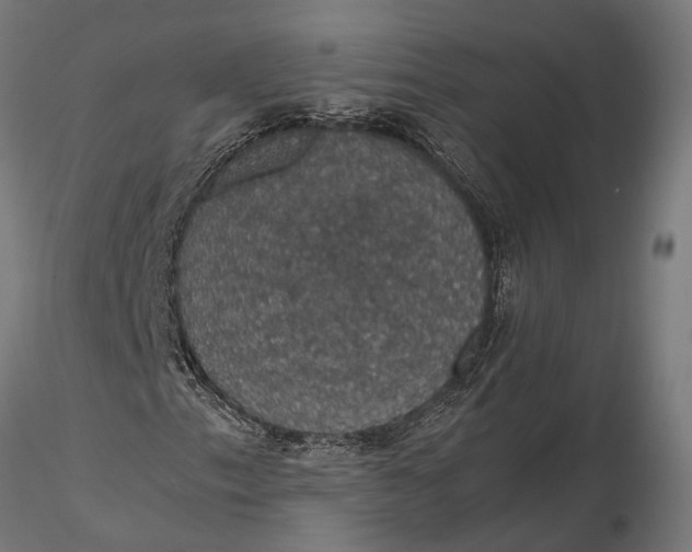 X0000116121153200912141039