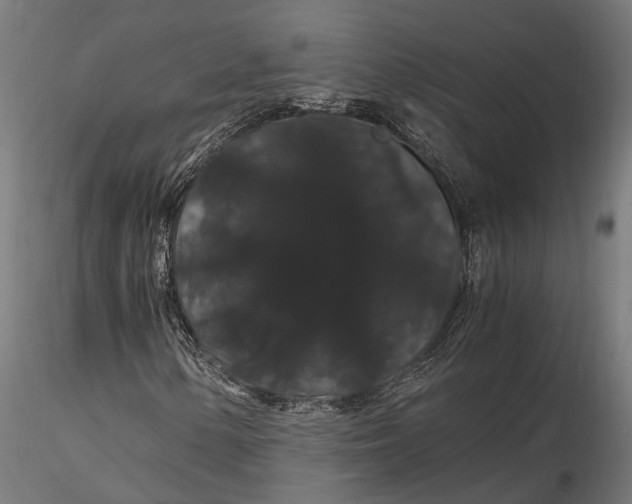 X0000116121154200912141038