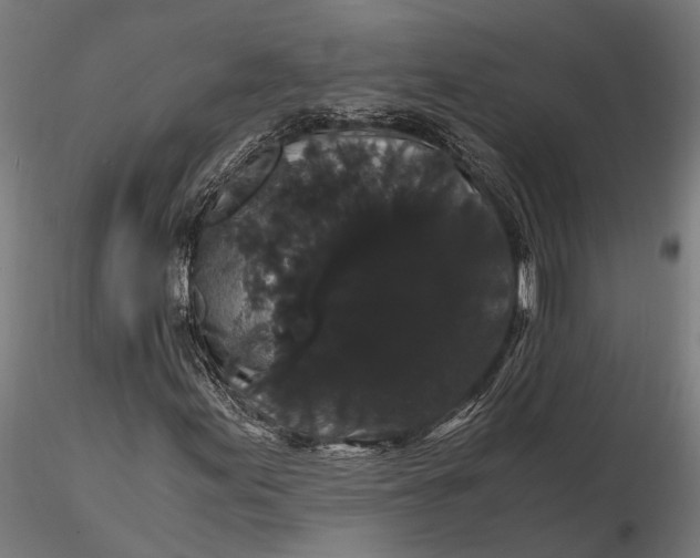 X0000116121155200912141038