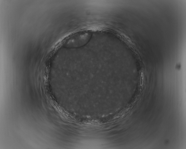 X0000116121158200912141038