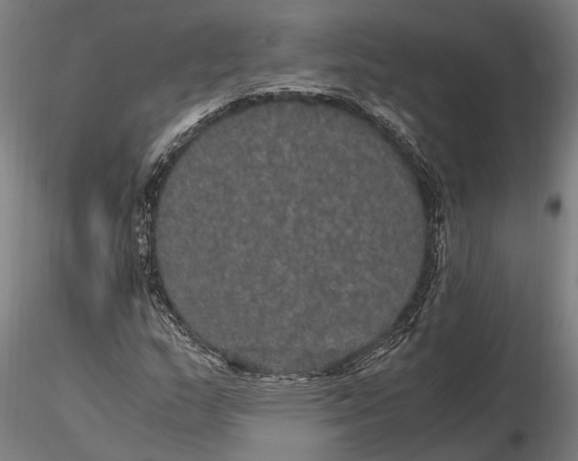 X0000116121159200912141038