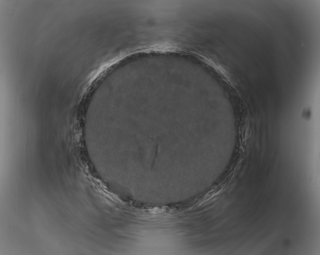 X0000116121160200912141038