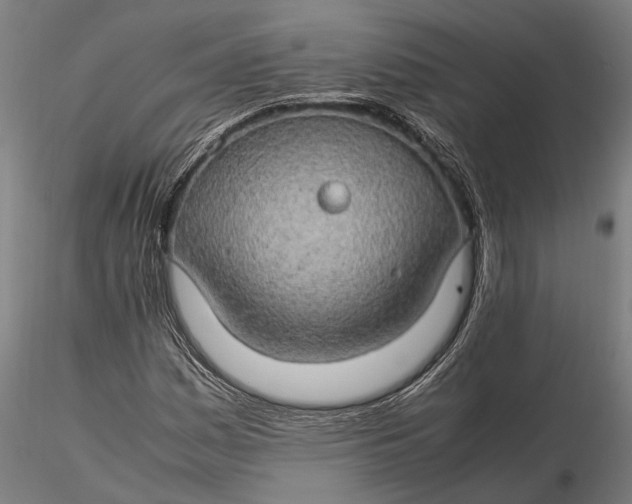 X0000116121161200912141038