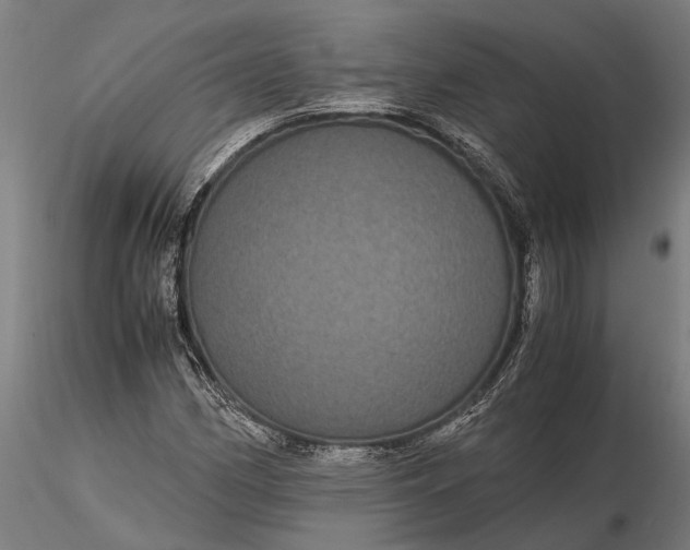 X0000116121162200912141038