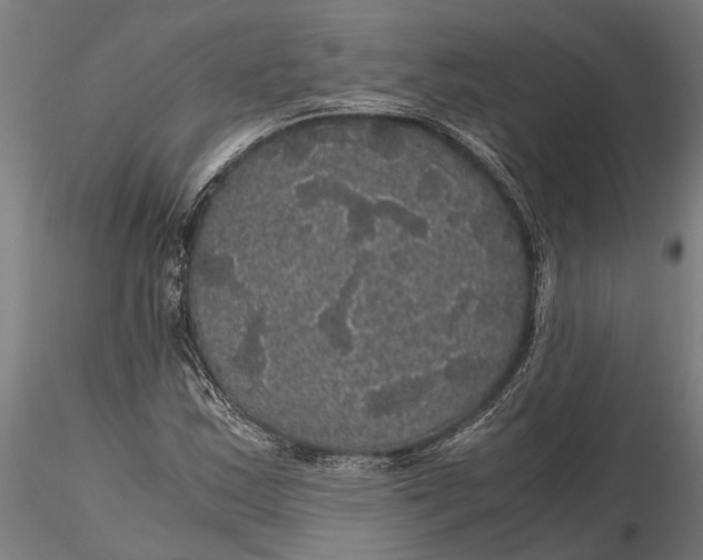 X0000116121163200912141038