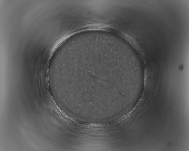 X0000116121164200912141038