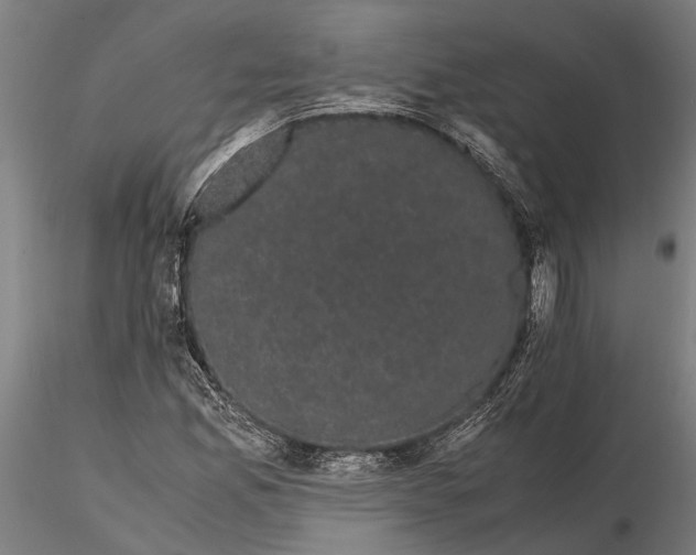 X0000116121165200912141038