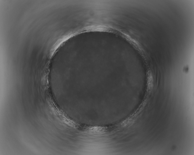 X0000116121166200912141038