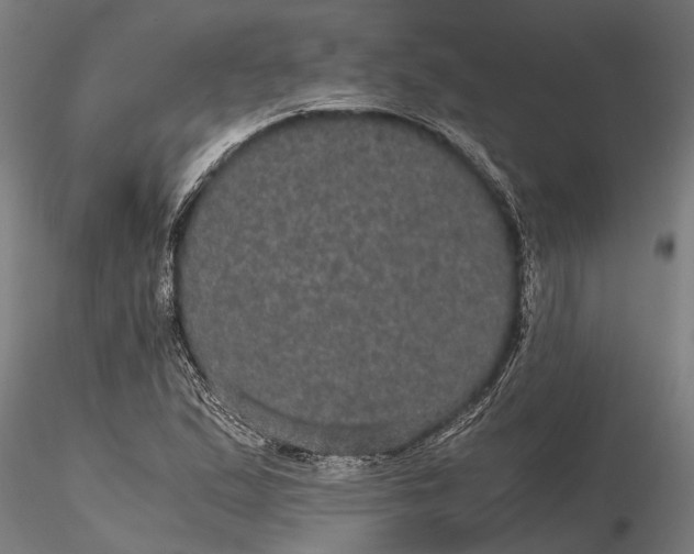 X0000116121167200912141038