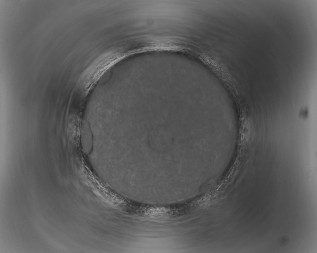 X0000116121169200912141038