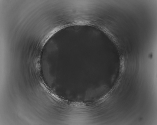 X0000116121170200912141038