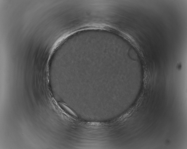 X0000116121172200912141038