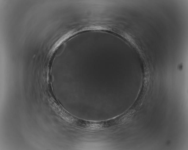 X0000116121173200912141038