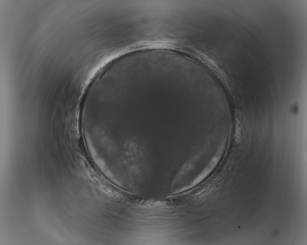 X0000116121174200912141038