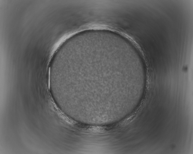 X0000116121175200912141038