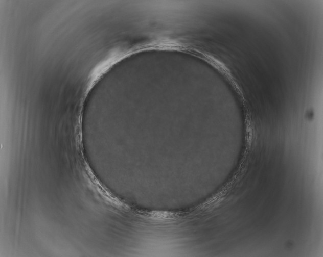 X0000116121176200912141038