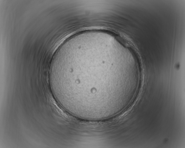 X0000116121177200912141038