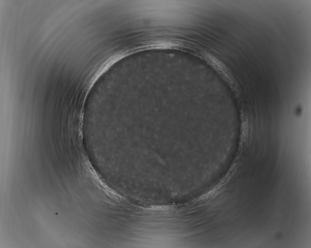 X0000116121178200912141038