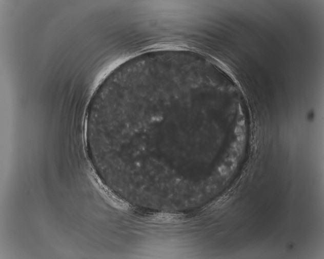 X0000116121179200912141038