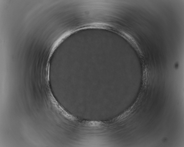 X0000116121180200912141038