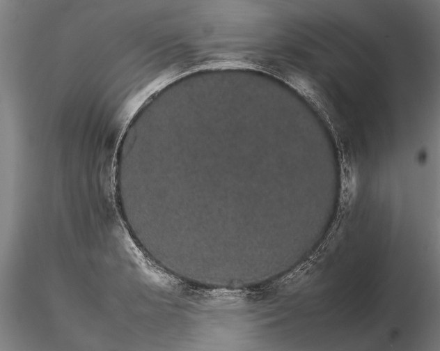 X0000116121181200912141038