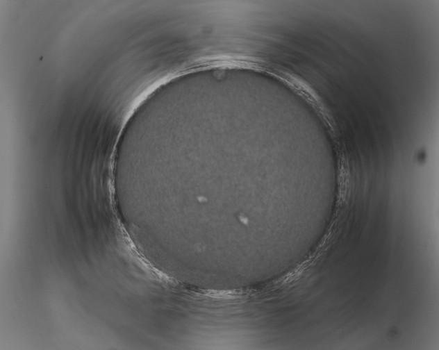 X0000116121182200912141038