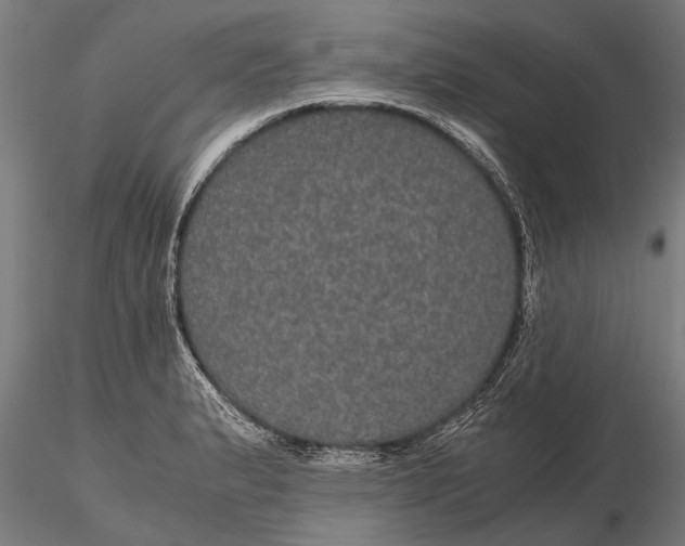 X0000116121183200912141038